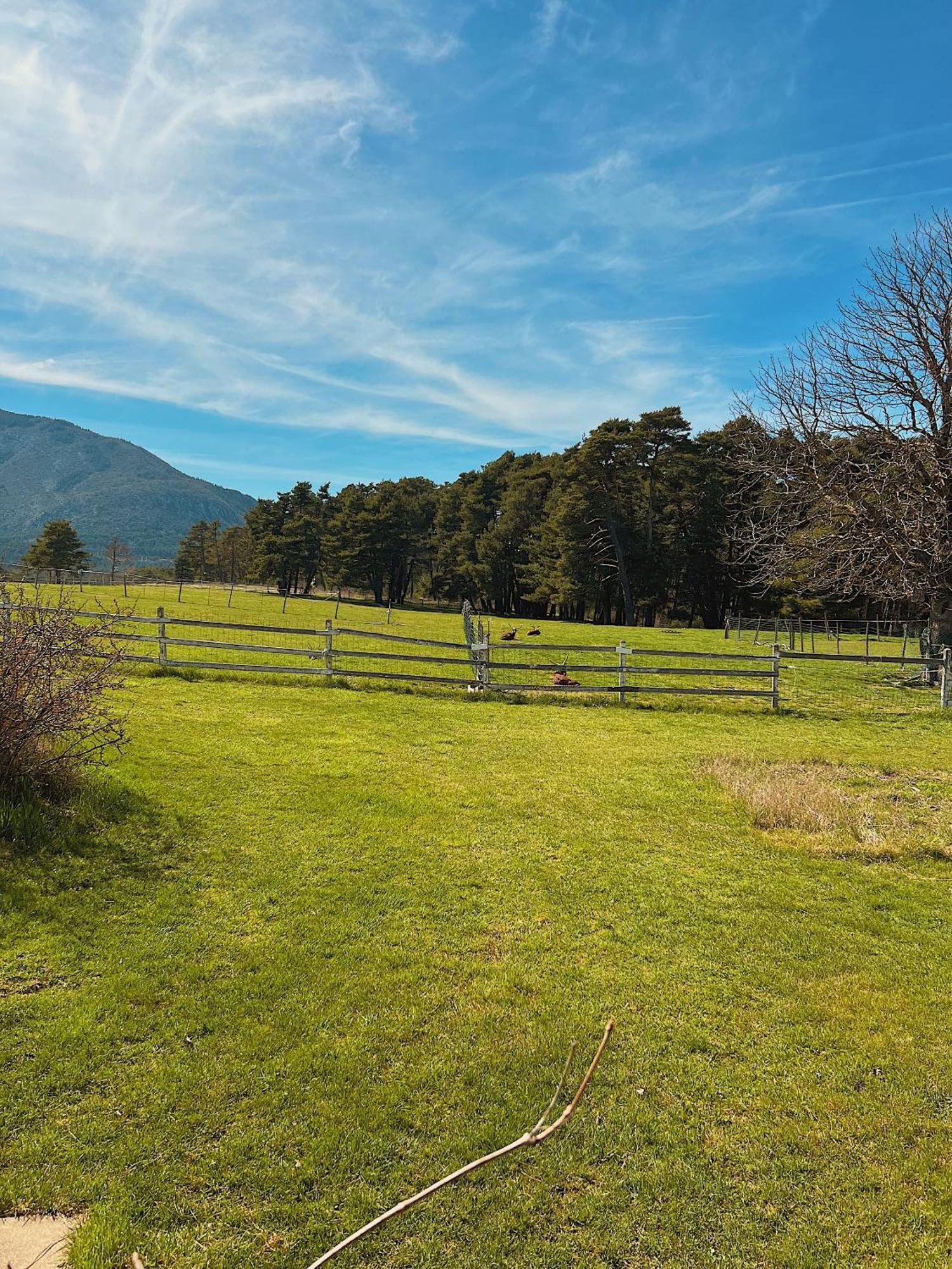 Готель La Bastide Des Pins Номер фото